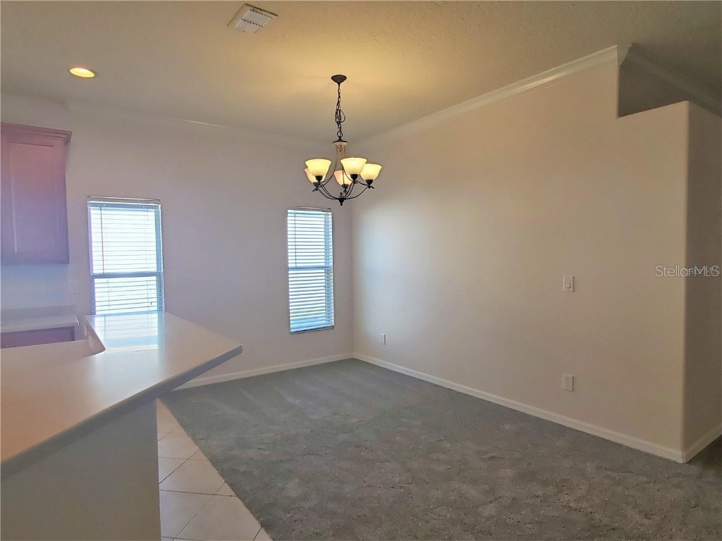 6208 Beldon Drive Mount Dora FL 32757 G5105169 image8