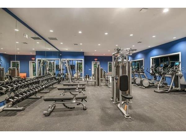 6208 Camino Drive Apollo Beach FL 33572 TB8435407 image18