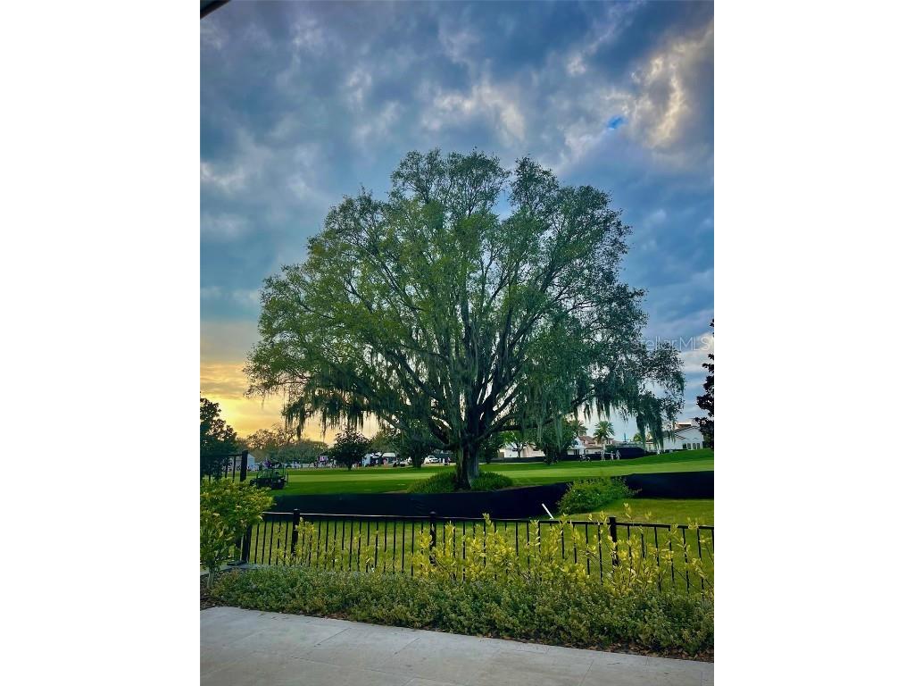 6208 Donegal Drive Orlando FL 32819 O6366095 image26