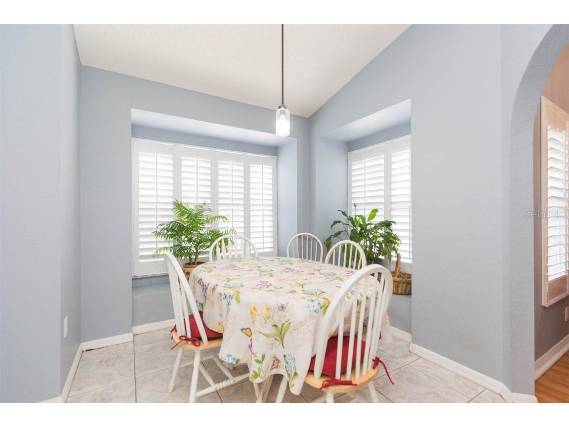 6208 Huntington Drive Zephyrhills FL 33542 TB8406828 image23