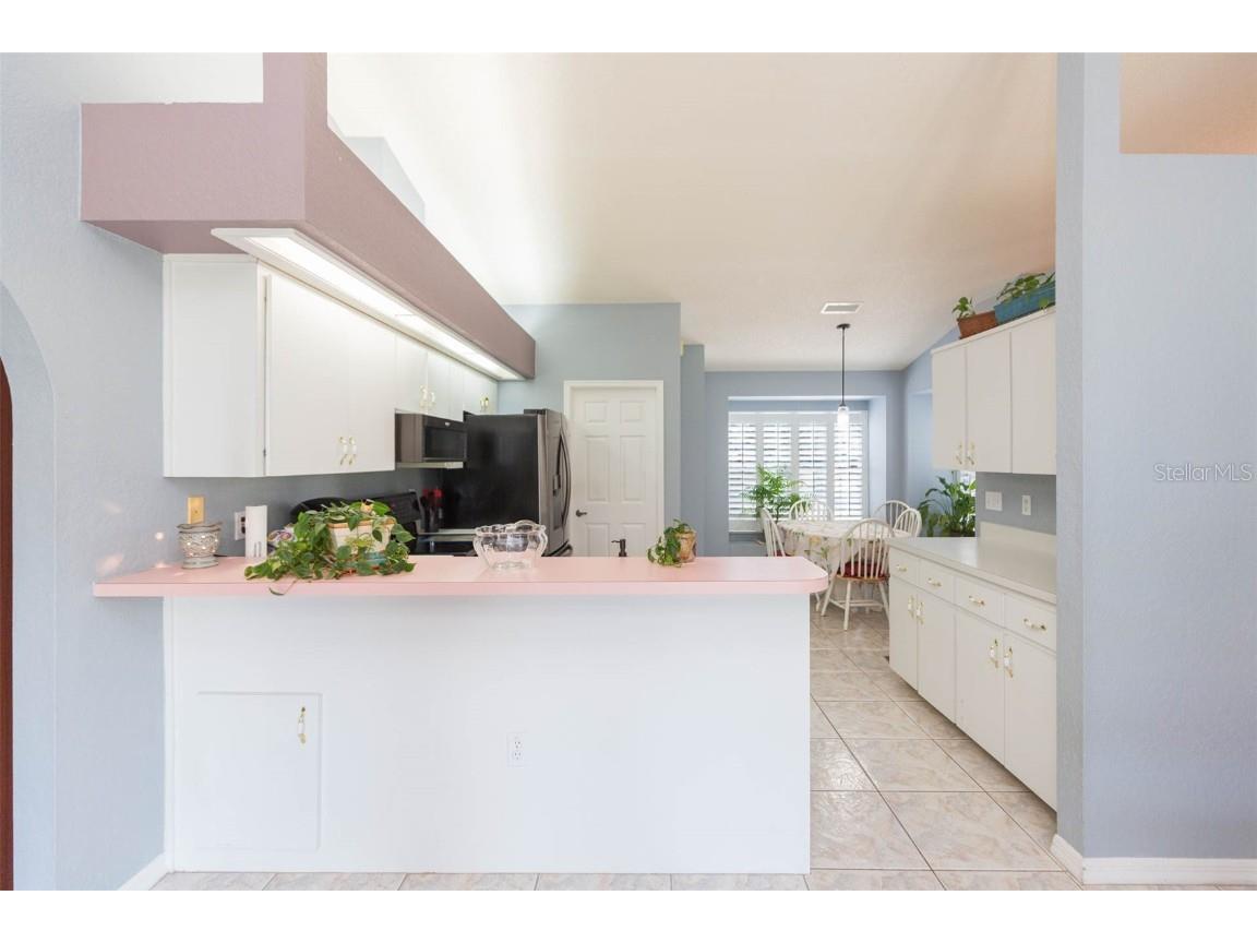 6208 Huntington Drive Zephyrhills FL 33542 TB8406828 image24