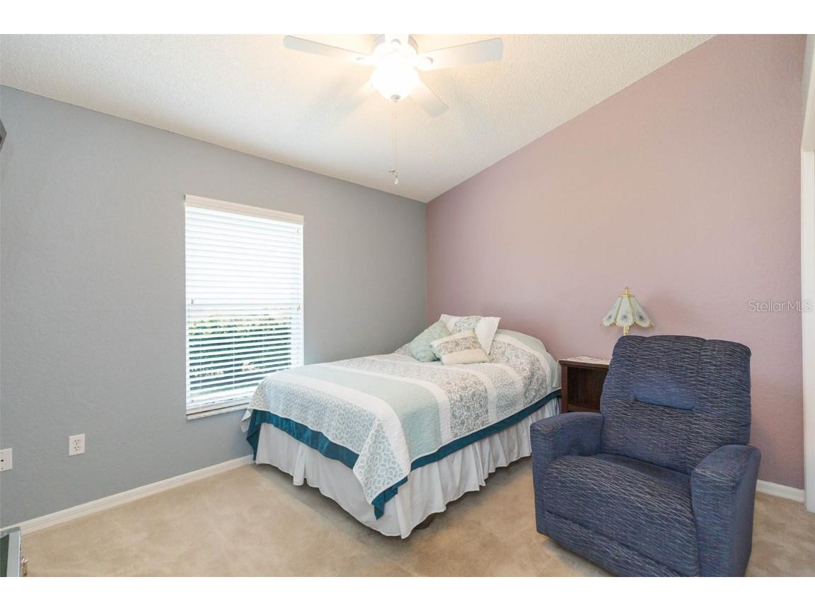 6208 Huntington Drive Zephyrhills FL 33542 TB8406828 image26