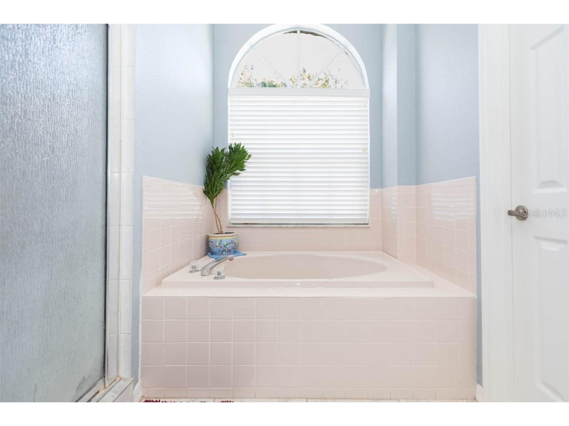 6208 Huntington Drive Zephyrhills FL 33542 TB8406828 image35