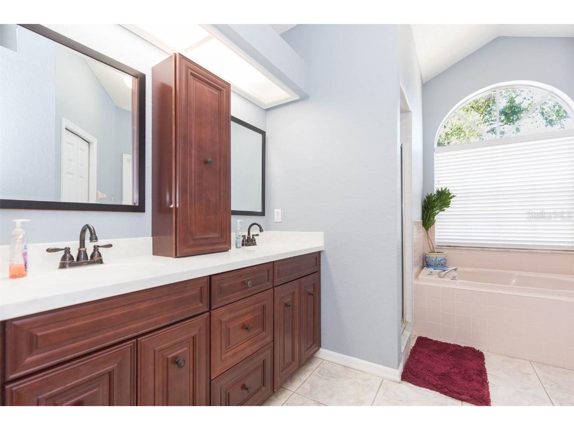 6208 Huntington Drive Zephyrhills FL 33542 TB8406828 image36