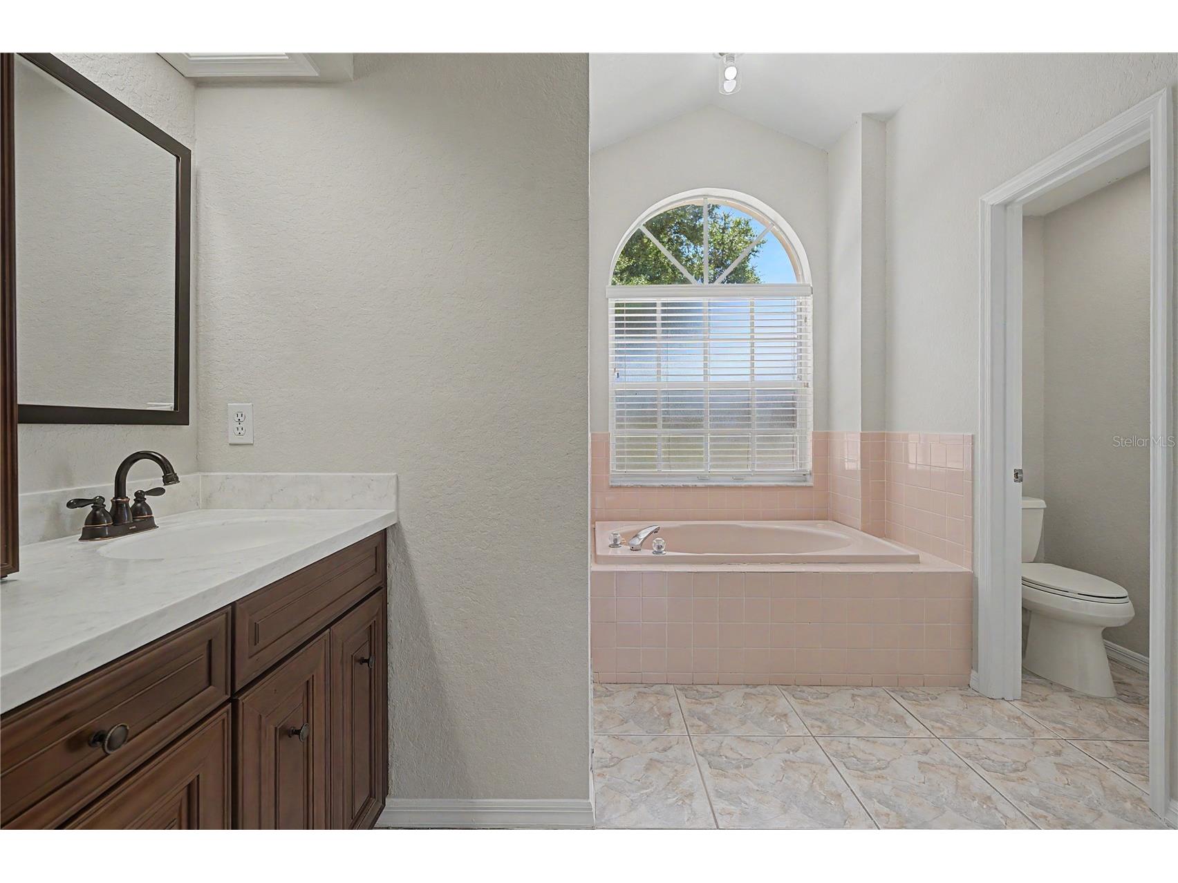 6208 Huntington Drive Zephyrhills FL 33542 TB8503936 image36