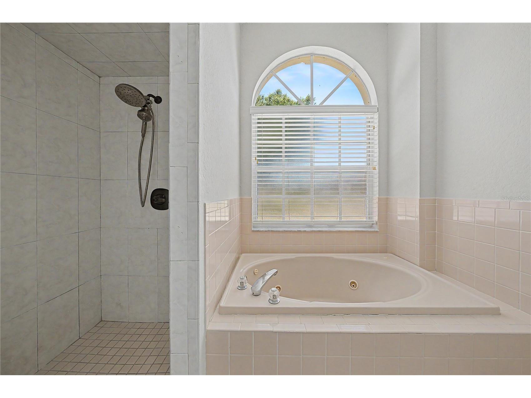 6208 Huntington Drive Zephyrhills FL 33542 TB8503936 image37