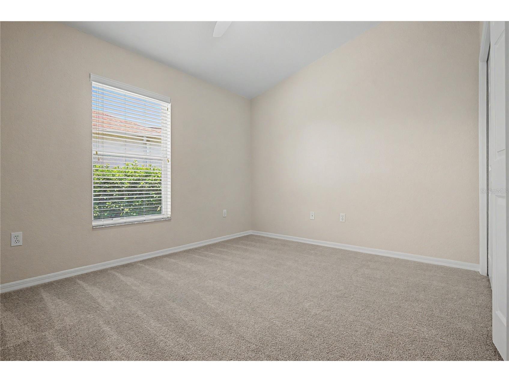 6208 Huntington Drive Zephyrhills FL 33542 TB8503936 image40