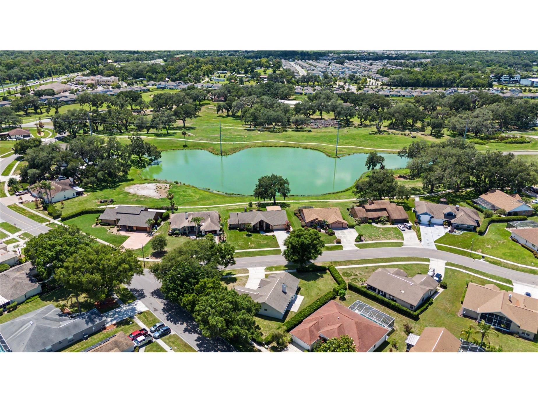 6208 Huntington Drive Zephyrhills FL 33542 TB8503936 image44
