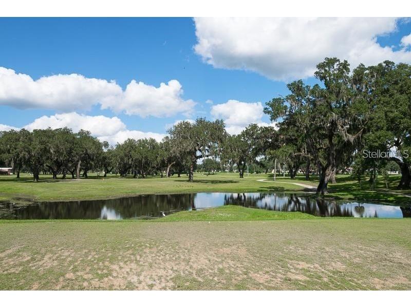 6208 Huntington Drive Zephyrhills FL 33542 TB8503936 image49