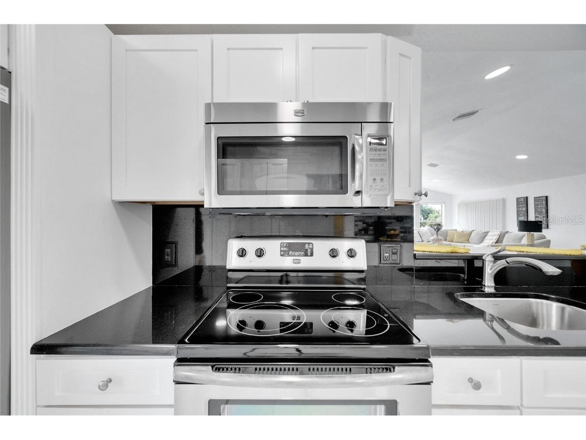 6208 Spoonbill Drive New Port Richey FL 34652 TB8332950 image45