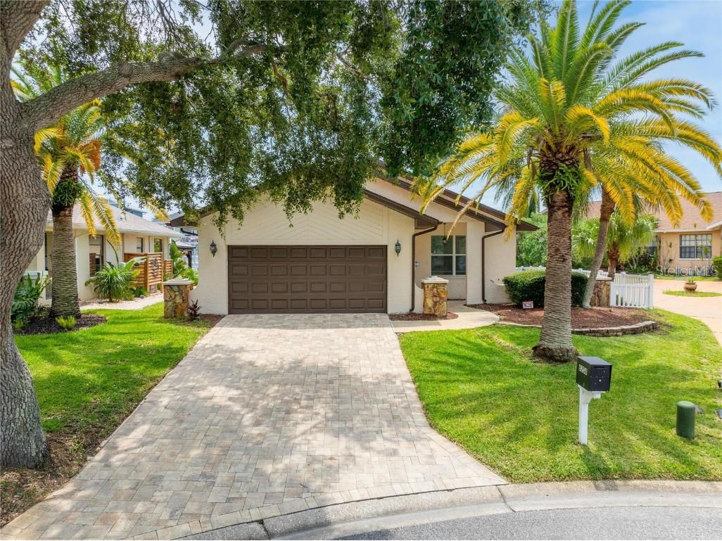 6208 Spoonbill Drive New Port Richey FL 34652 TB8332950 image76