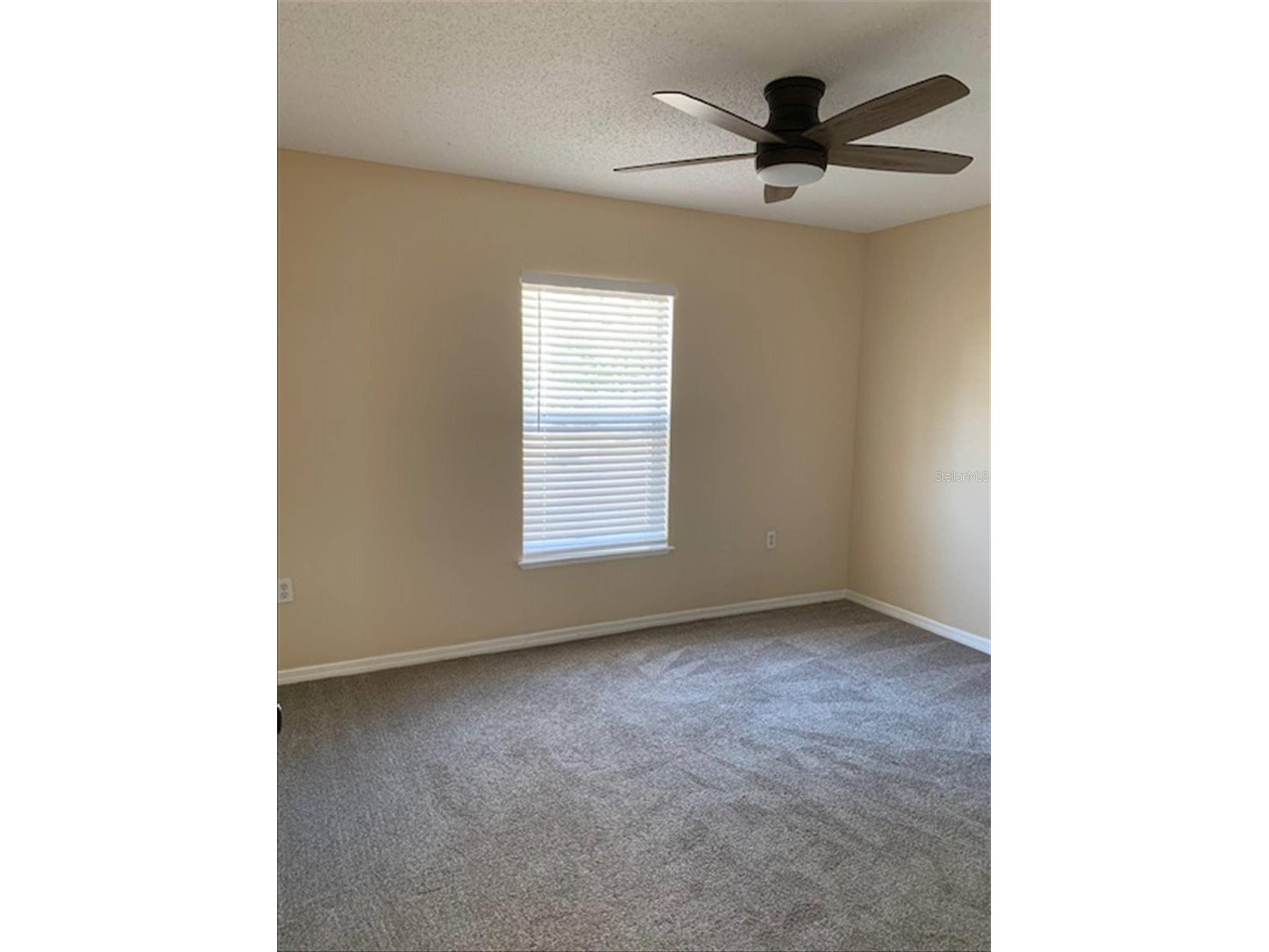 6209 Ansley Street Spring Hill FL 34606 TB8490881 image11