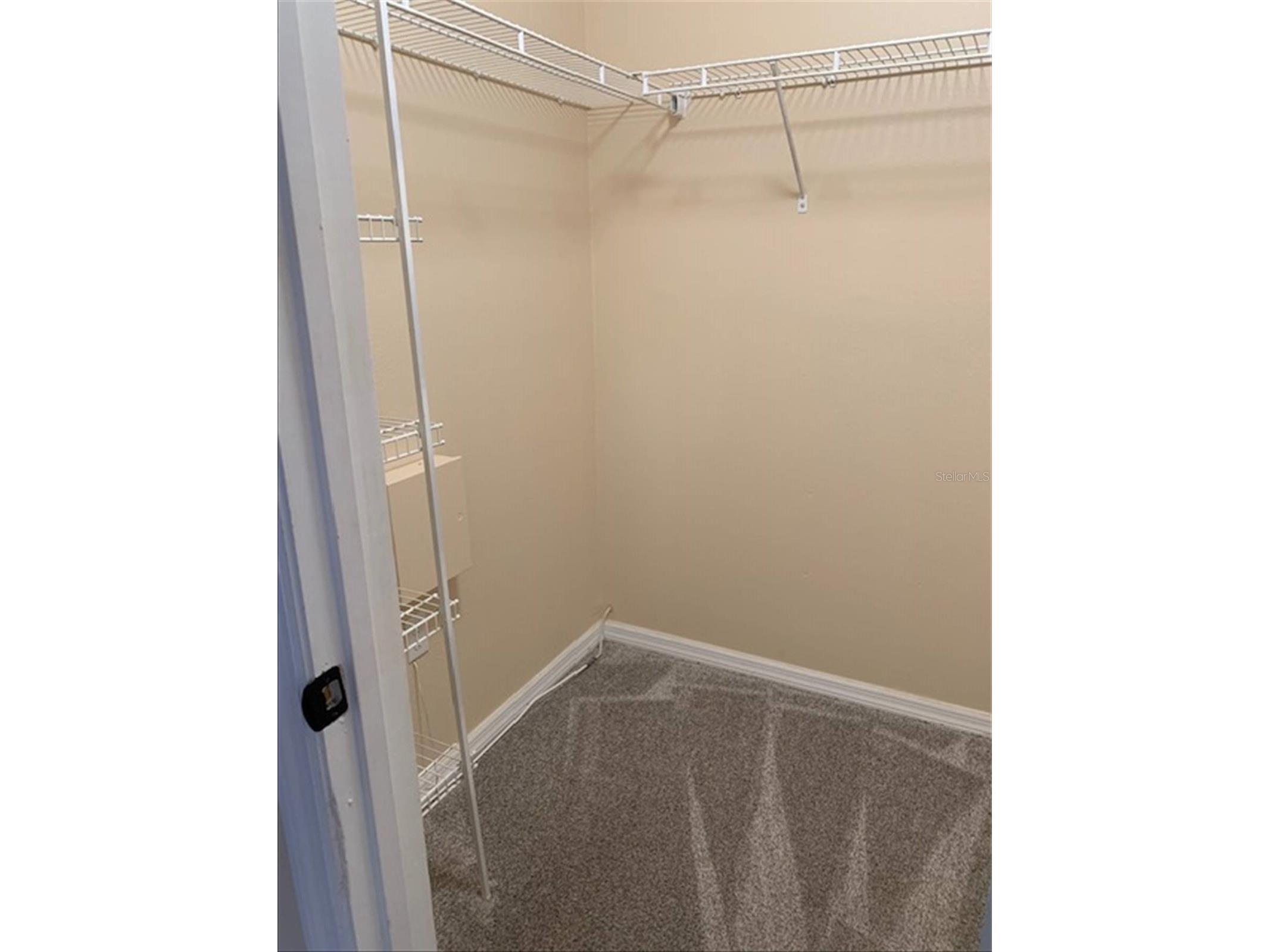 6209 Ansley Street Spring Hill FL 34606 TB8490881 image9