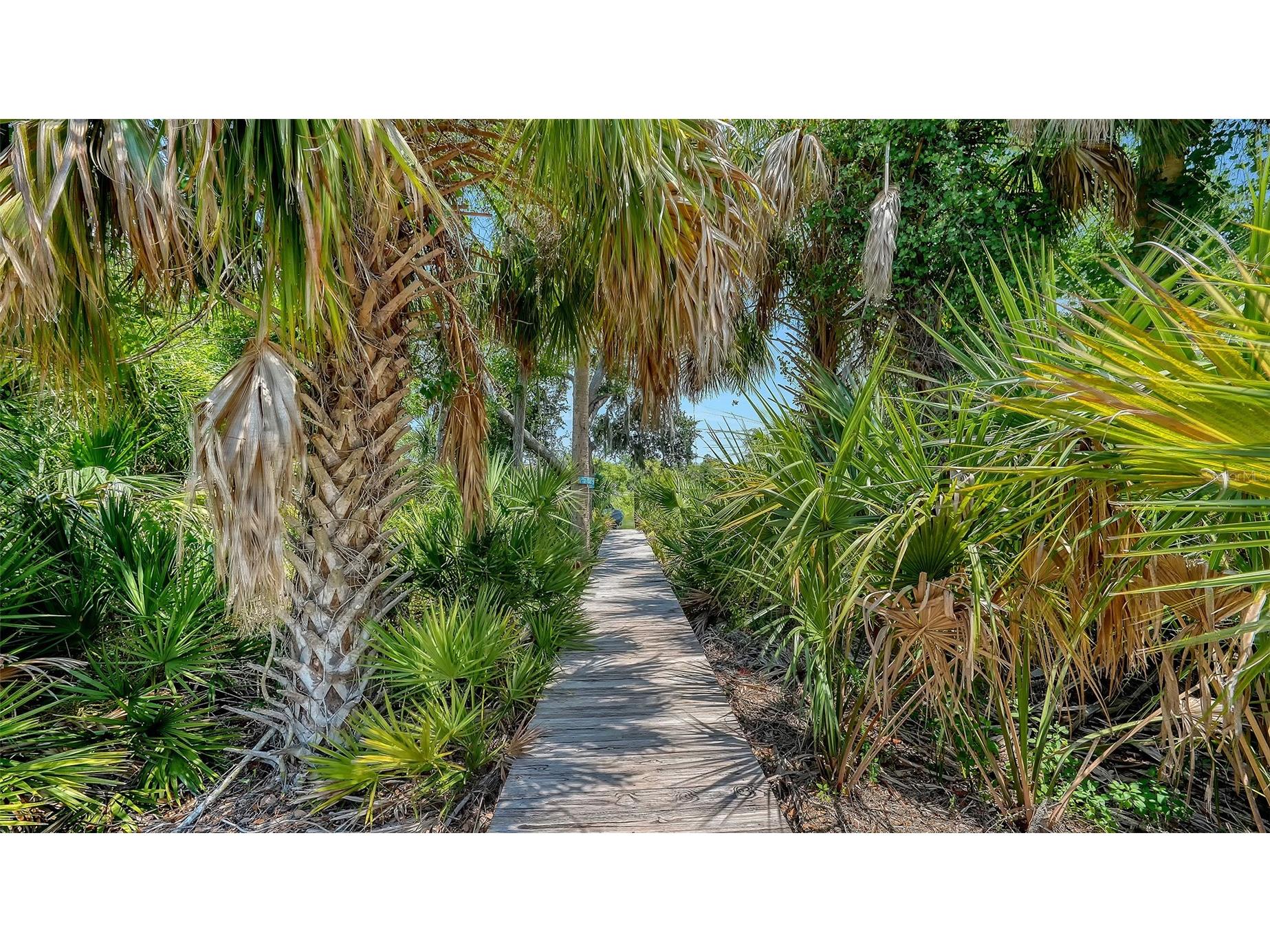 6209 Cypress Bend Court Bradenton FL 34201 A4695841 image35