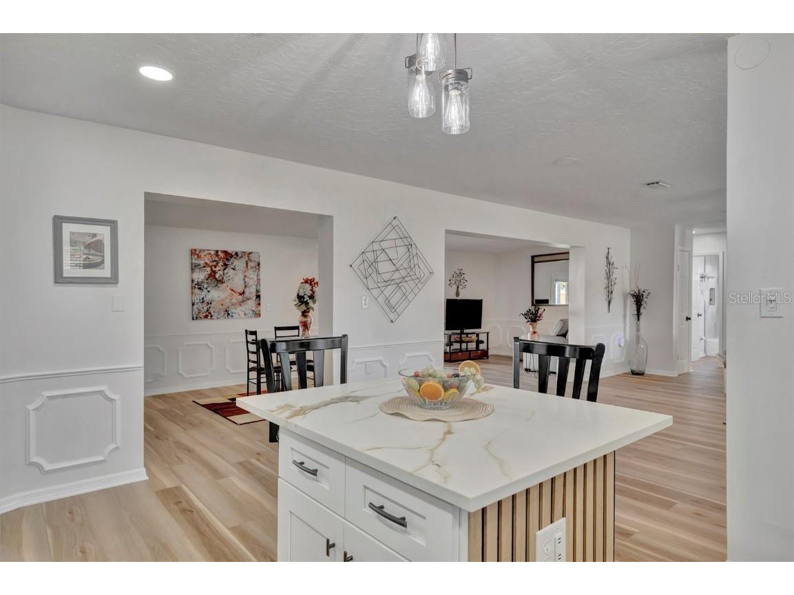 6209 Flamingo Drive Apollo Beach FL 33572 TB8432117 image17