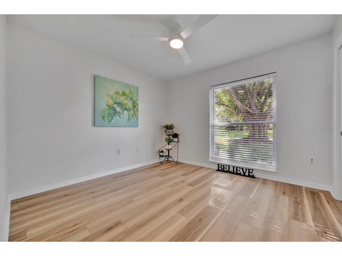 6209 Flamingo Drive Apollo Beach FL 33572 TB8432117 image26