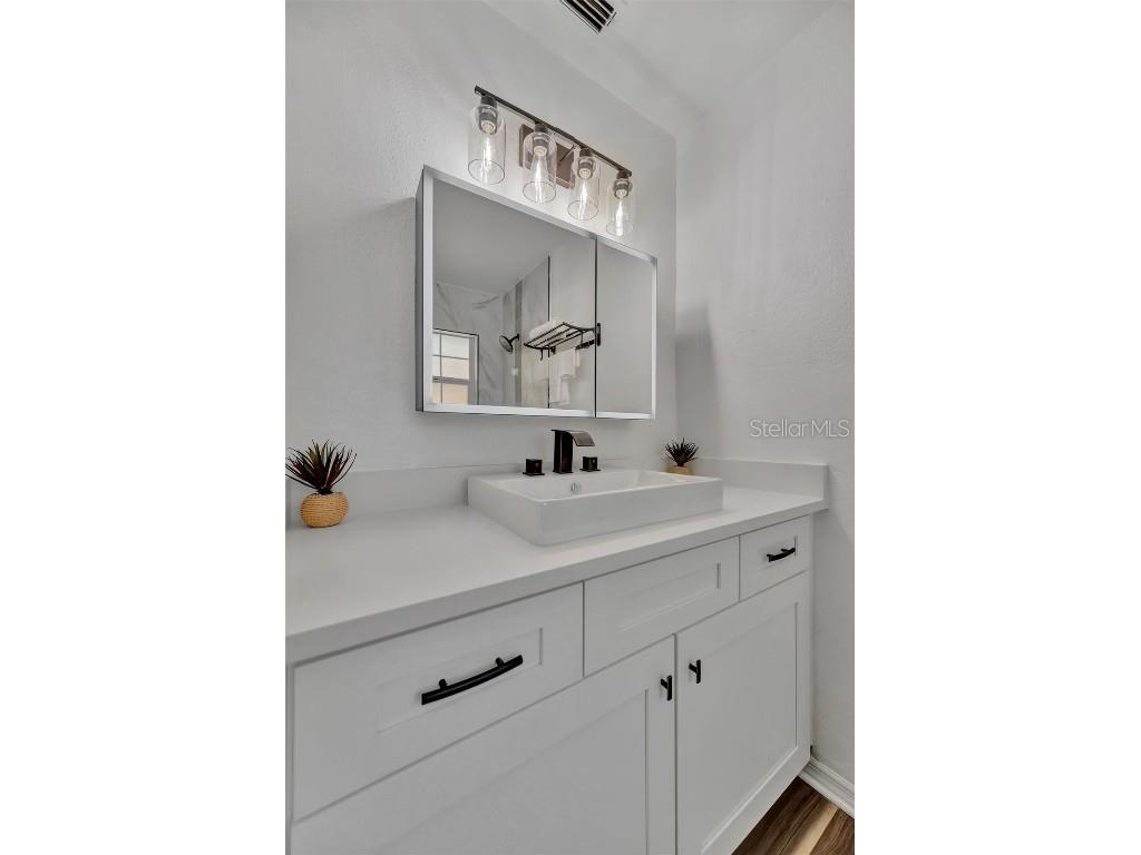 6209 Flamingo Drive Apollo Beach FL 33572 TB8432117 image33