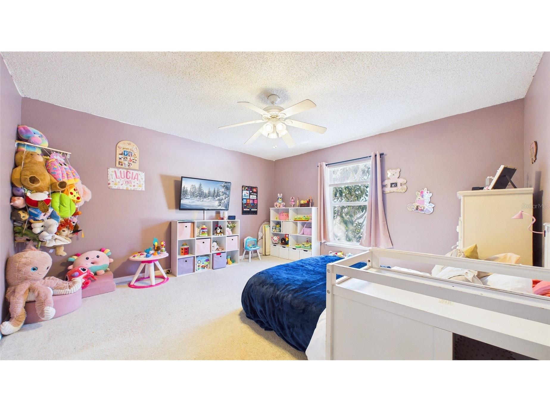 6209 Gassino Place Riverview FL 33578 TB8474850 image10