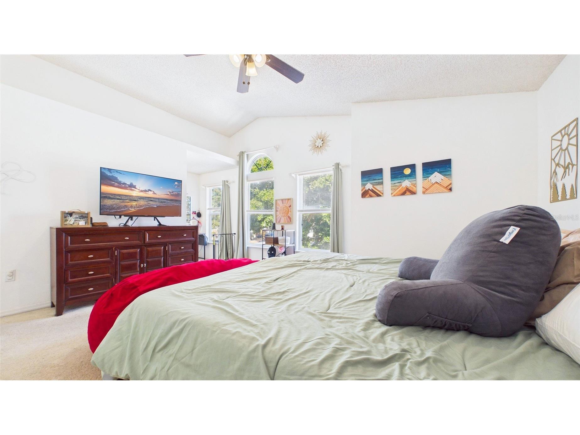 6209 Gassino Place Riverview FL 33578 TB8474850 image19