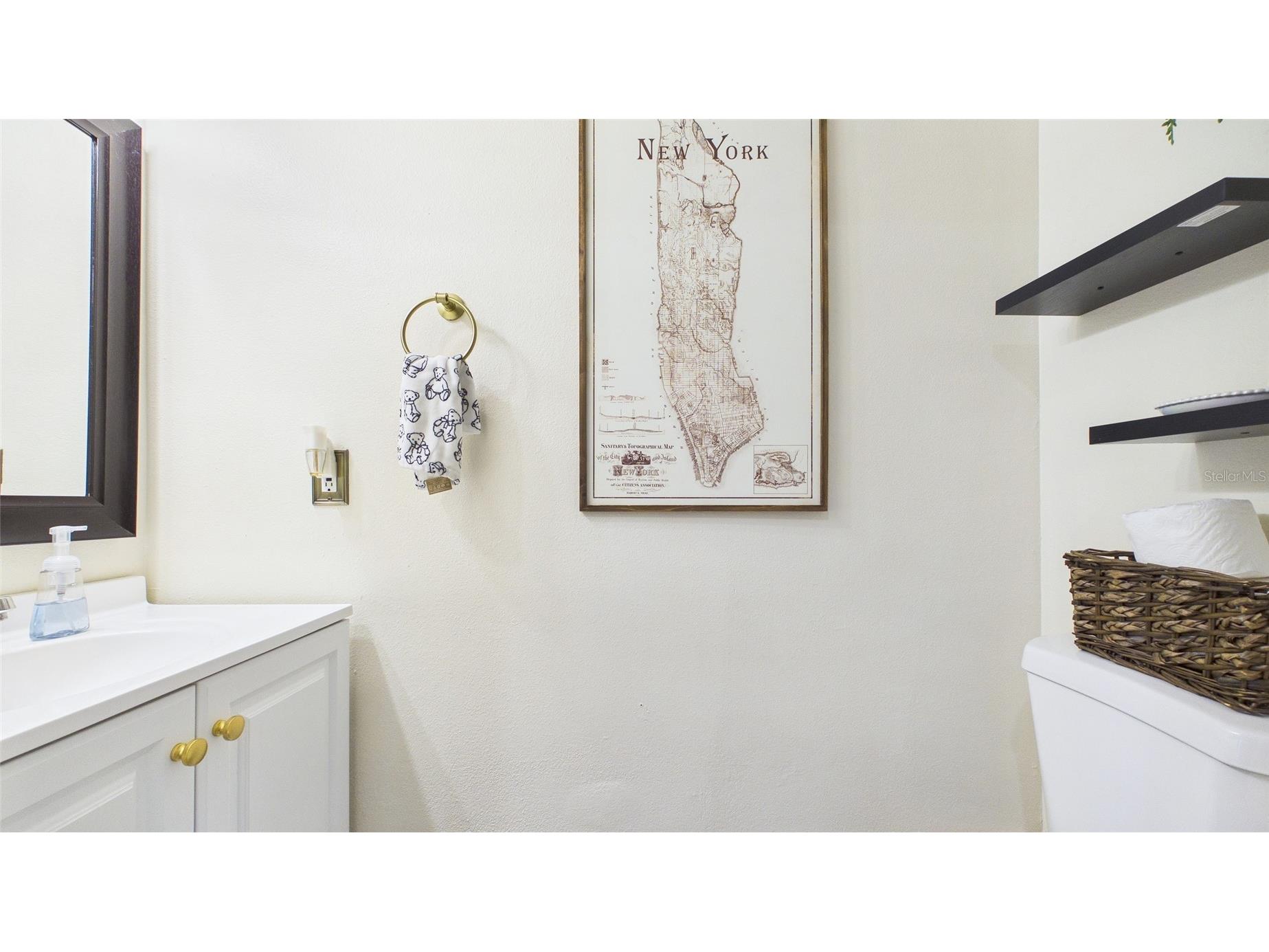 6209 Gassino Place Riverview FL 33578 TB8474850 image36