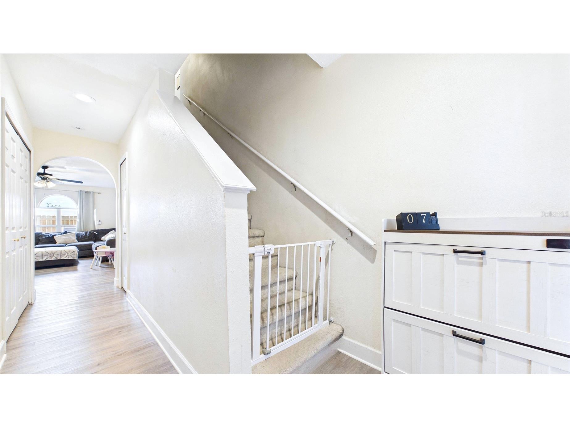 6209 Gassino Place Riverview FL 33578 TB8474850 image38