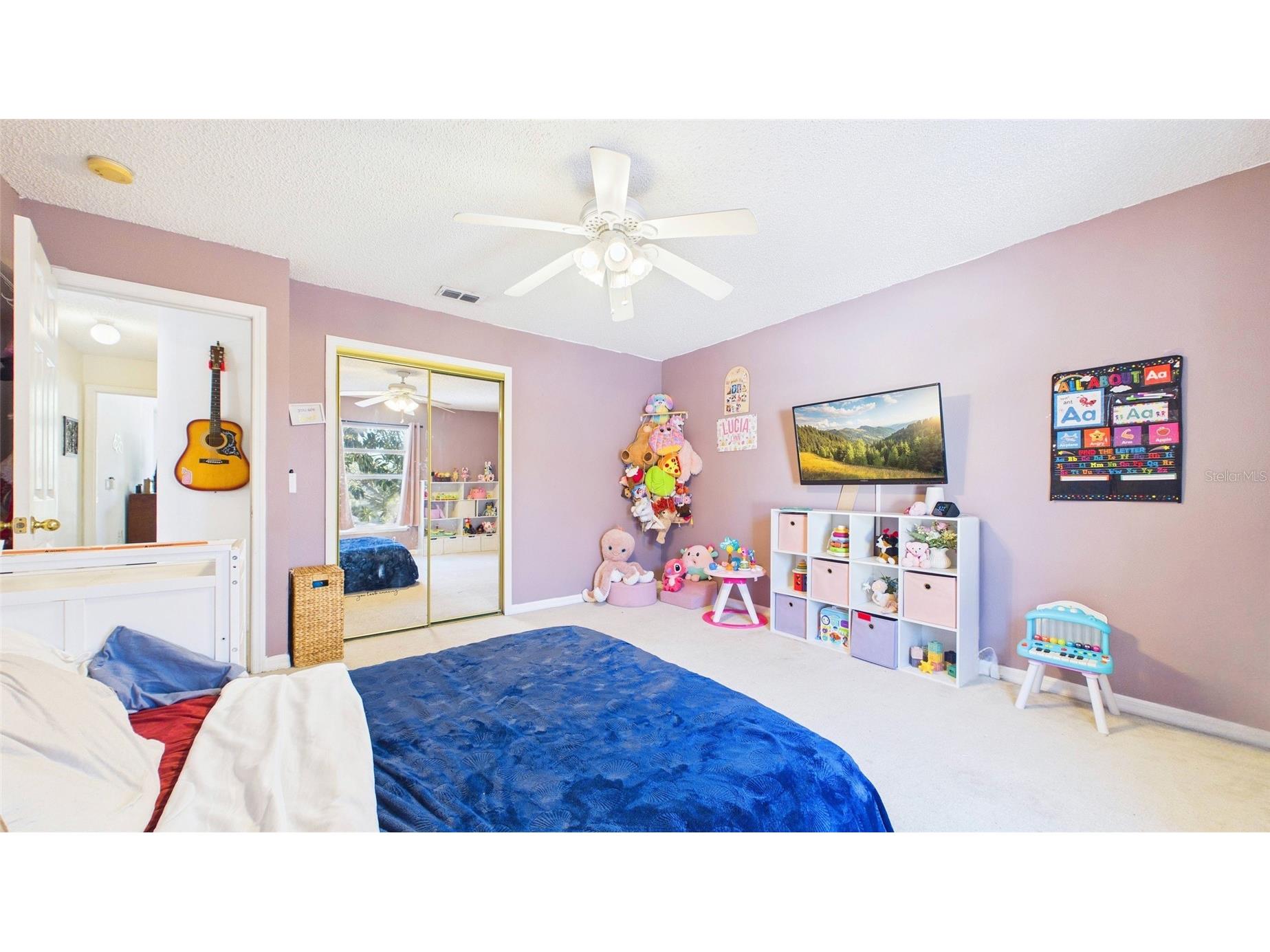 6209 Gassino Place Riverview FL 33578 TB8474850 image8