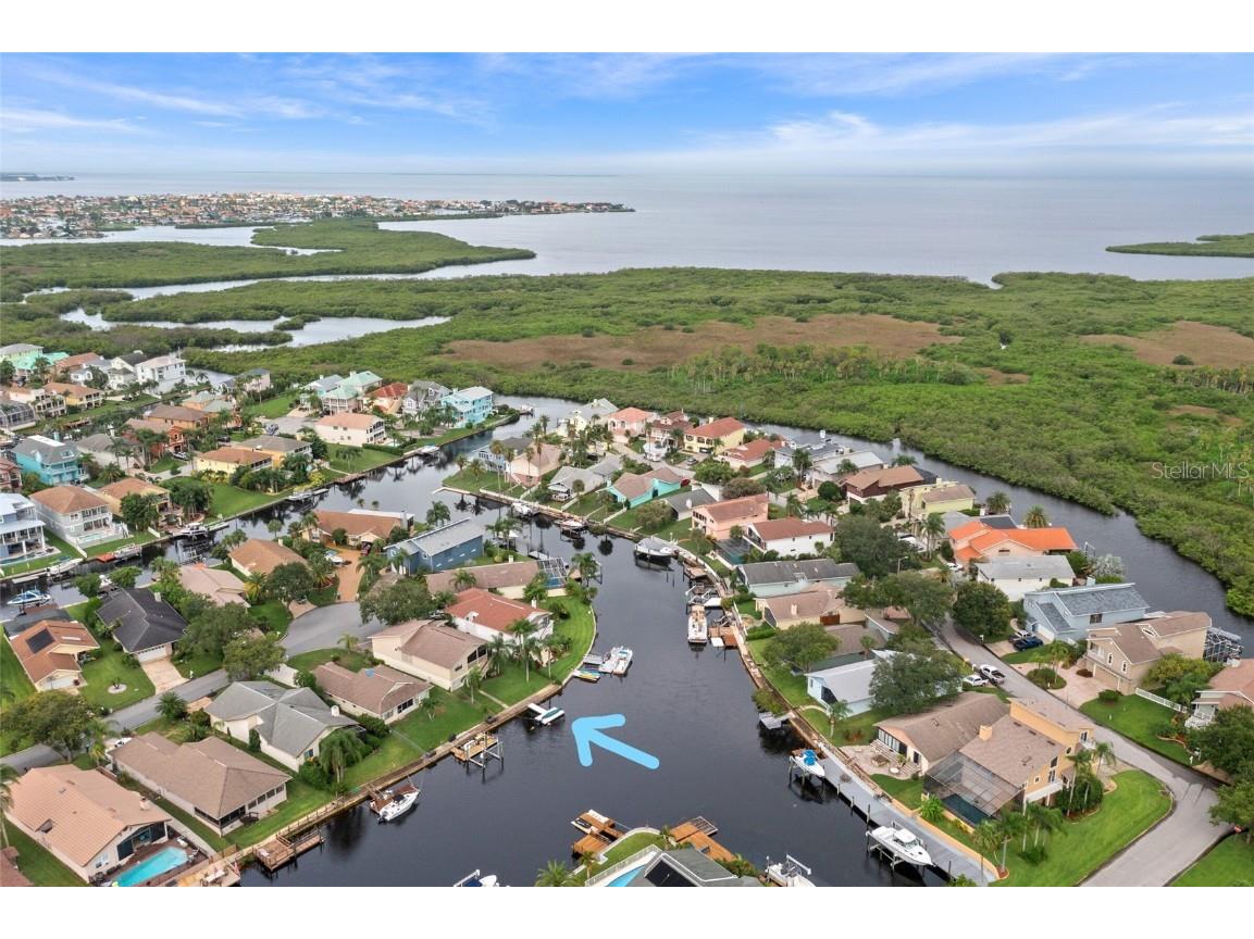 6209 Spoonbill Drive New Port Richey FL 34652 - GULF OF MEXICO W7836667 image1