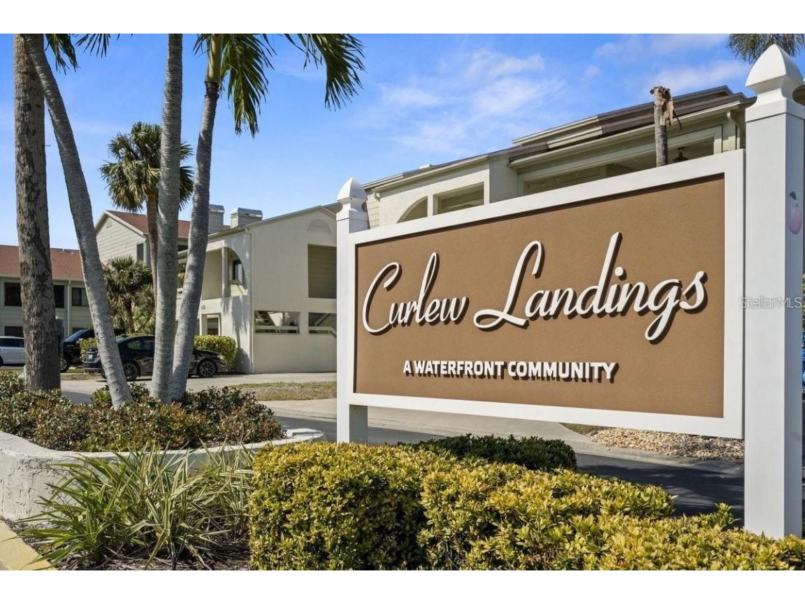 621 Duchess Boulevard Dunedin FL 34698 TB8458086 image48
