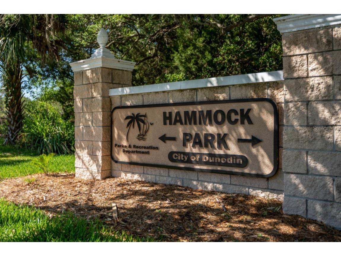 621 Duchess Boulevard Dunedin FL 34698 TB8458086 image55