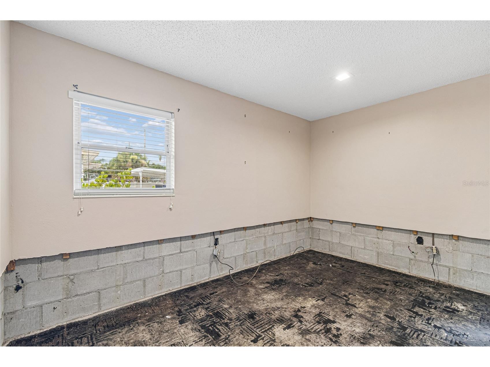621 E Davis Boulevard Tampa FL 33606 TB8525894 image8