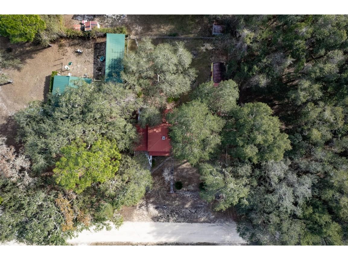 621 NE 165th Terrace Silver Springs FL 34488 OM715959 image57