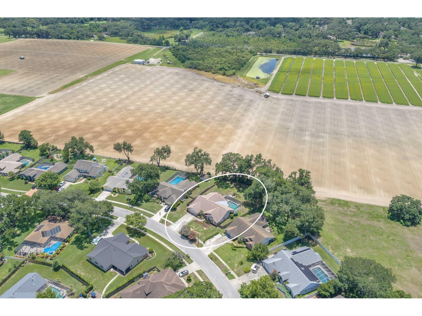 621 Penn National Road Seffner FL 33584 TB8516898 image46