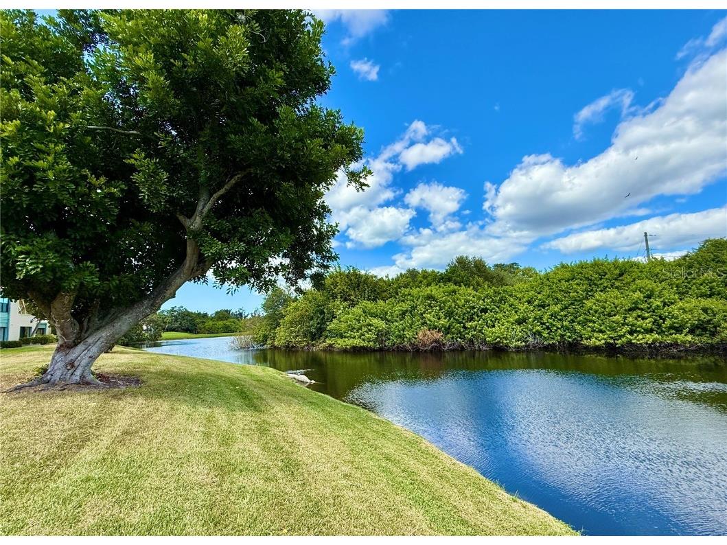 621 Spring Lakes Boulevard #621 Bradenton FL 34210 A4669076 image12