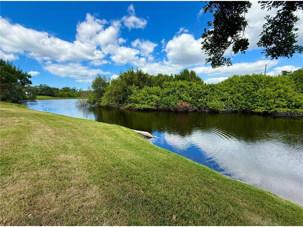 621 Spring Lakes Boulevard #621 Bradenton FL 34210 A4669076 image13