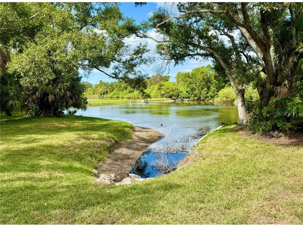 621 Spring Lakes Boulevard #621 Bradenton FL 34210 A4669076 image58