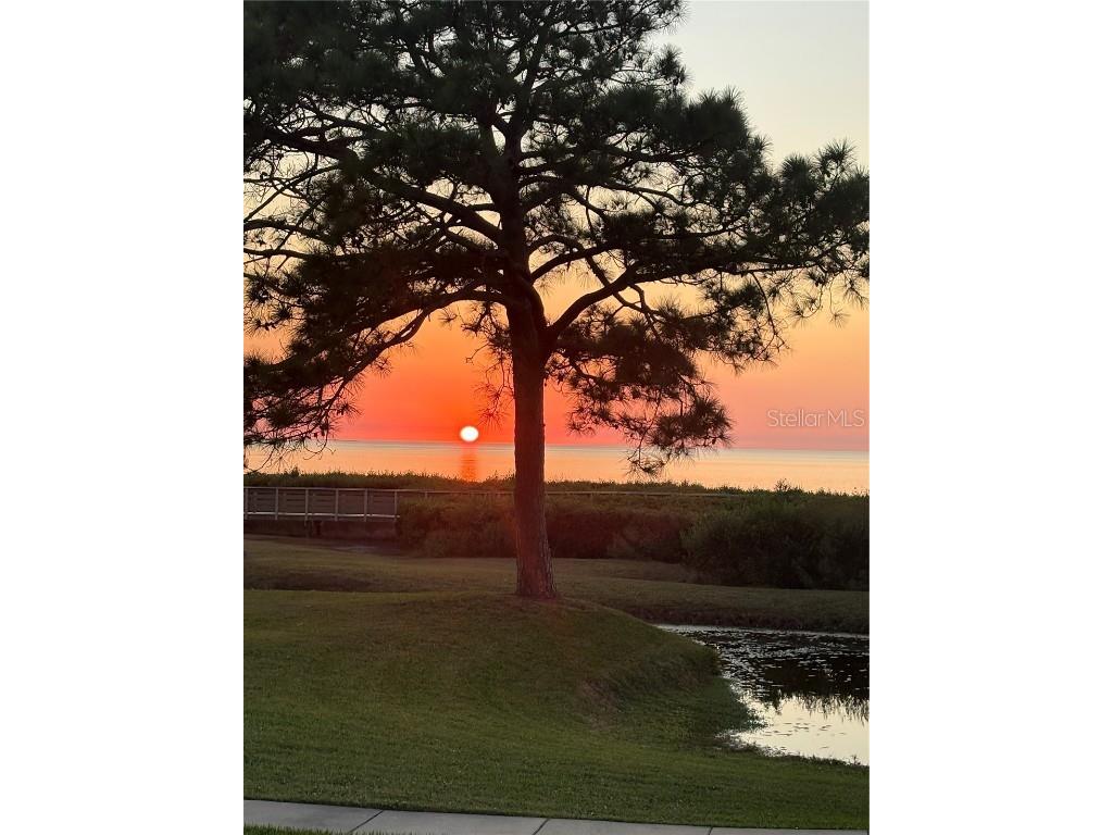 621 Windrush Bay Drive #621 Tarpon Springs FL 34689 TB8449975 image39