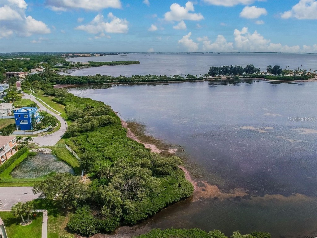 621 Windrush Bay Drive #621 Tarpon Springs FL 34689 TB8449975 image57