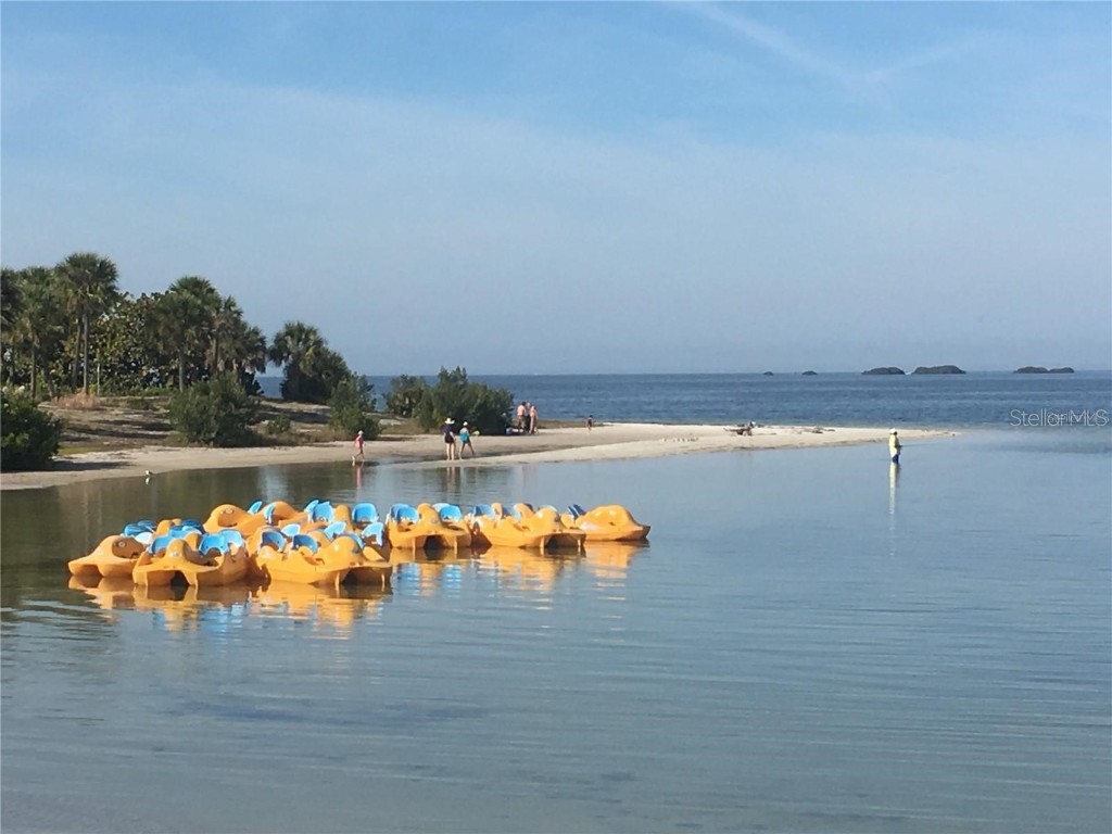 621 Windrush Bay Drive #621 Tarpon Springs FL 34689 TB8449975 image63