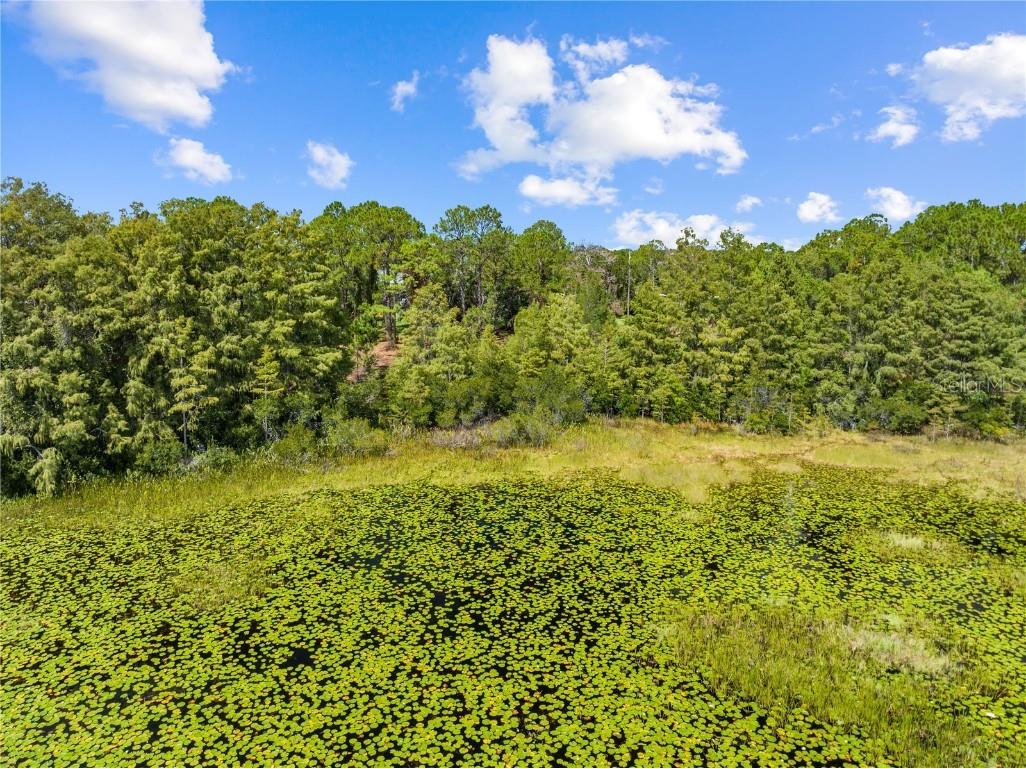 6210 Bass Highway Saint Cloud FL 34771 - LAKE LIZZIE S5134951 image43