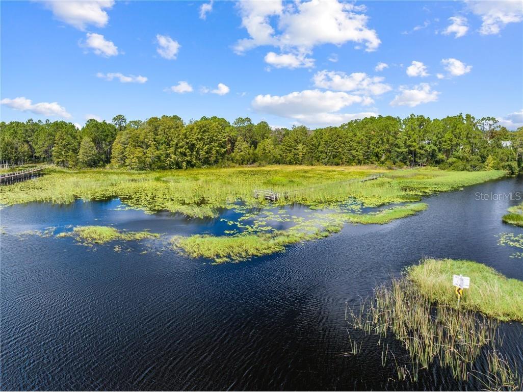 6210 Bass Highway Saint Cloud FL 34771 - LAKE LIZZIE S5134951 image44