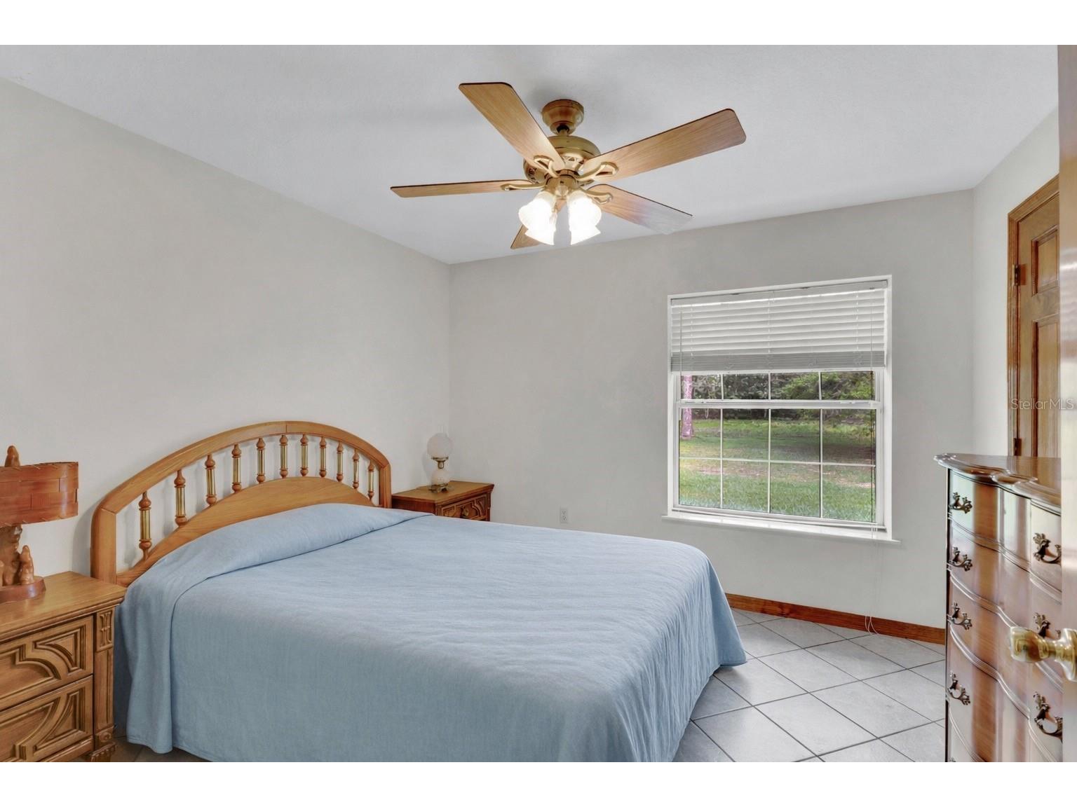 6210 Bass Highway Saint Cloud FL 34771 - LAKE LIZZIE - ALLIGATOR CHAIN S5146132 image15