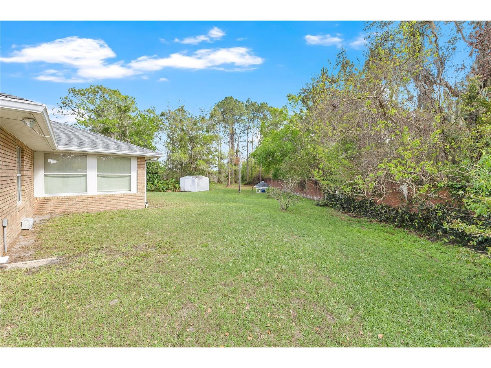 6210 Bass Highway Saint Cloud FL 34771 - LAKE LIZZIE - ALLIGATOR CHAIN S5146132 image22