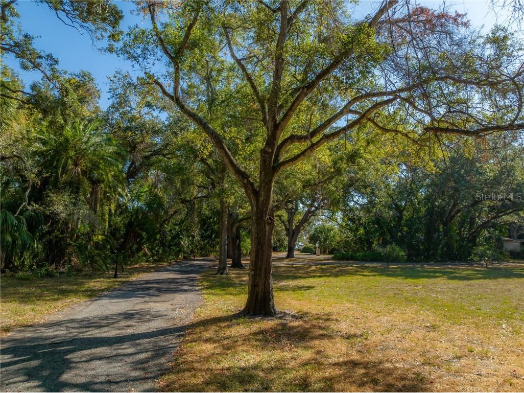 6210 Bayshore Boulevard Tampa FL 33611 - HILLSBOROUGH BAY T3490205 image42