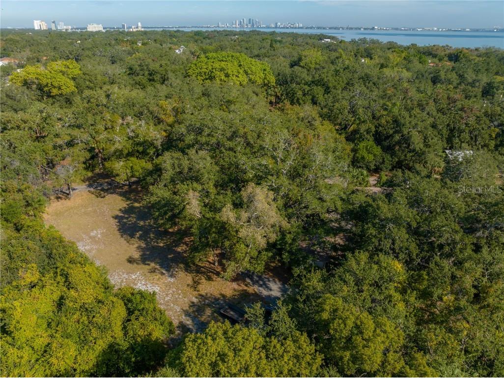 6210 Bayshore Boulevard Tampa FL 33611 - HILLSBOROUGH BAY TB8403304 image13