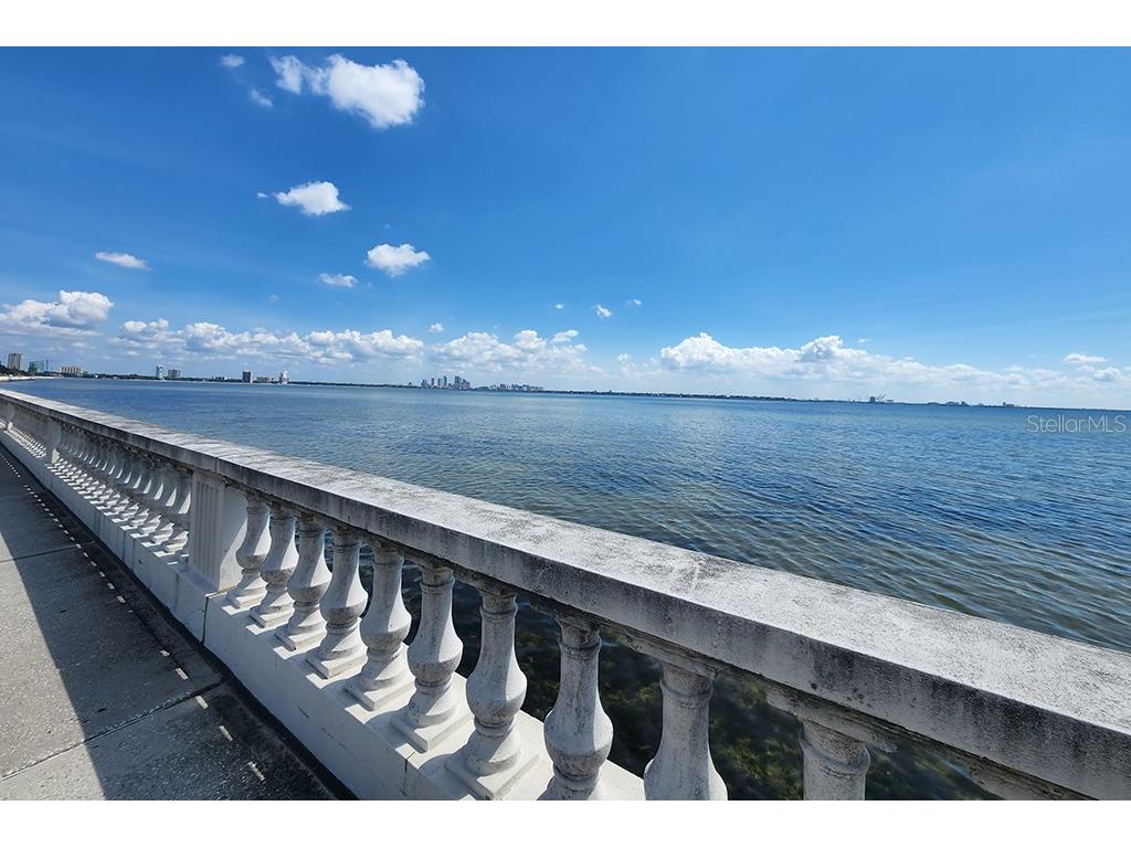 6210 Bayshore Boulevard Tampa FL 33611 - HILLSBOROUGH BAY TB8403304 image31