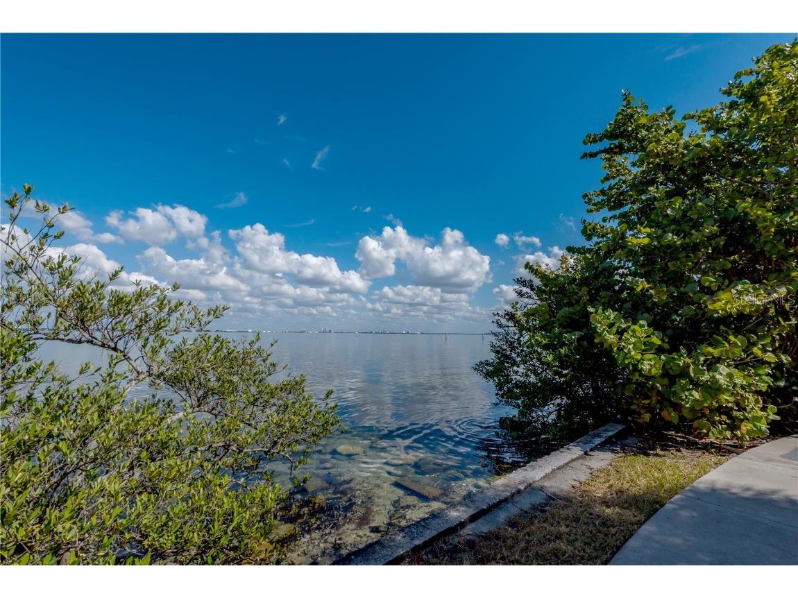 6210 Bayshore Boulevard Tampa FL 33611 - HILLSBOROUGH BAY TB8403304 image37