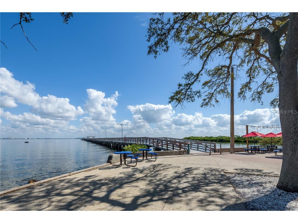 6210 Bayshore Boulevard Tampa FL 33611 - HILLSBOROUGH BAY TB8403304 image38