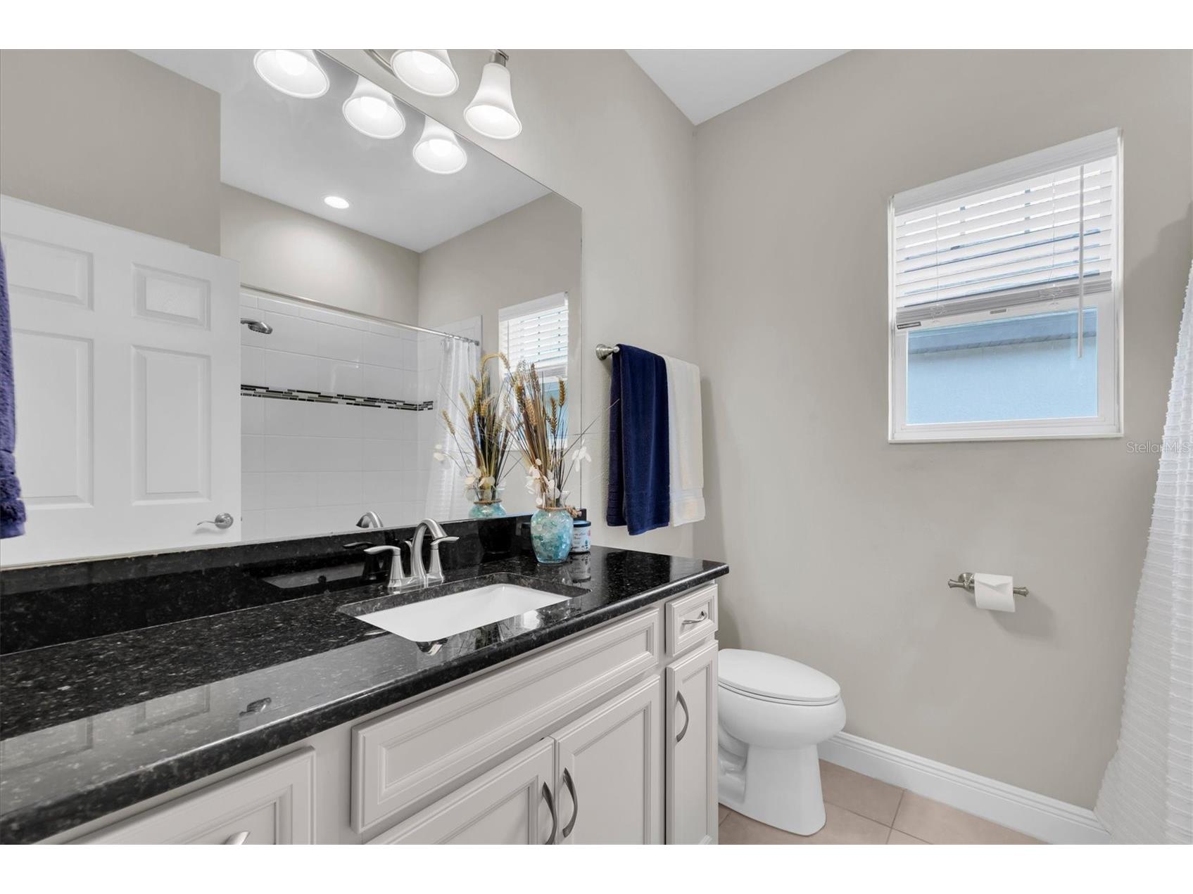 6210 Heirloom Place Apollo Beach FL 33572 TB8496380 image28