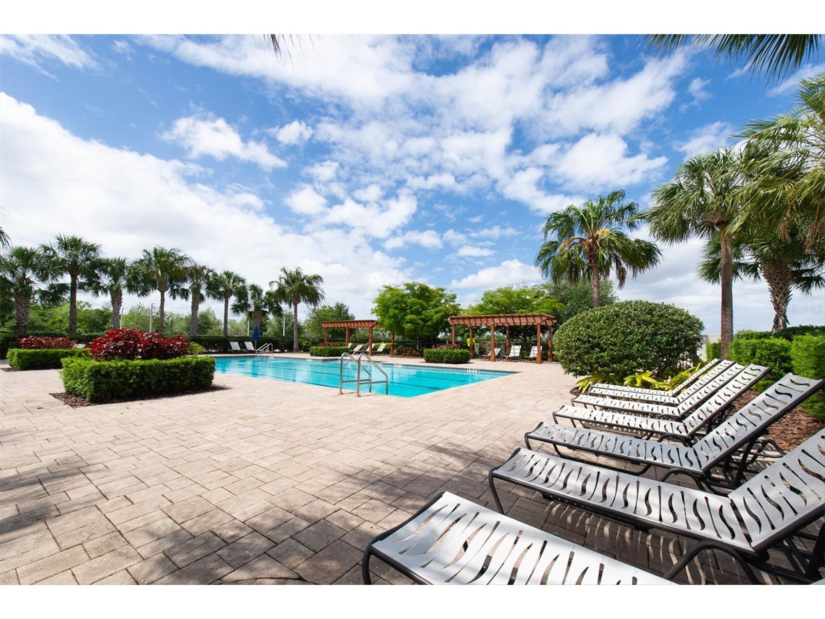 6210 Heirloom Place Apollo Beach FL 33572 TB8496380 image46