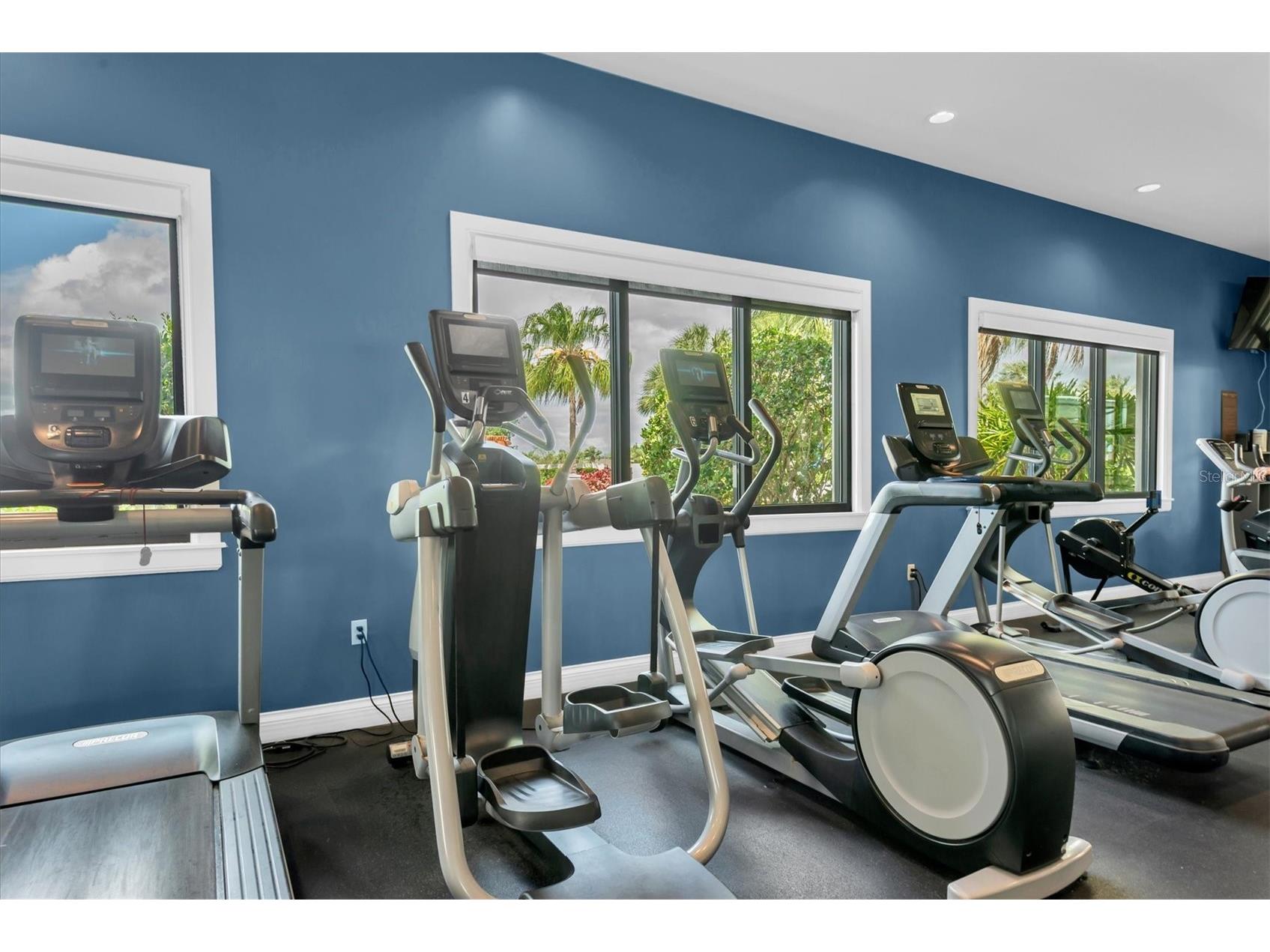 6210 Heirloom Place Apollo Beach FL 33572 TB8496380 image51